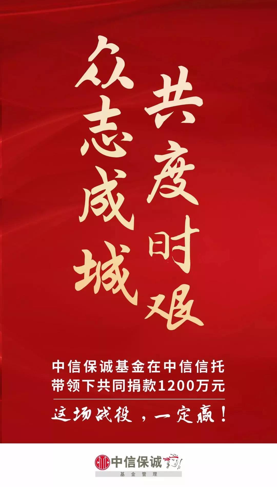 中信证券中信信托(中信证券中信信托中信总营股票质押定向资产管理计划)