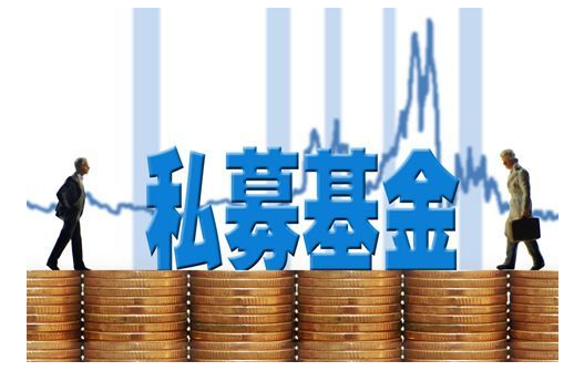 证券直投(证券直投子公司)