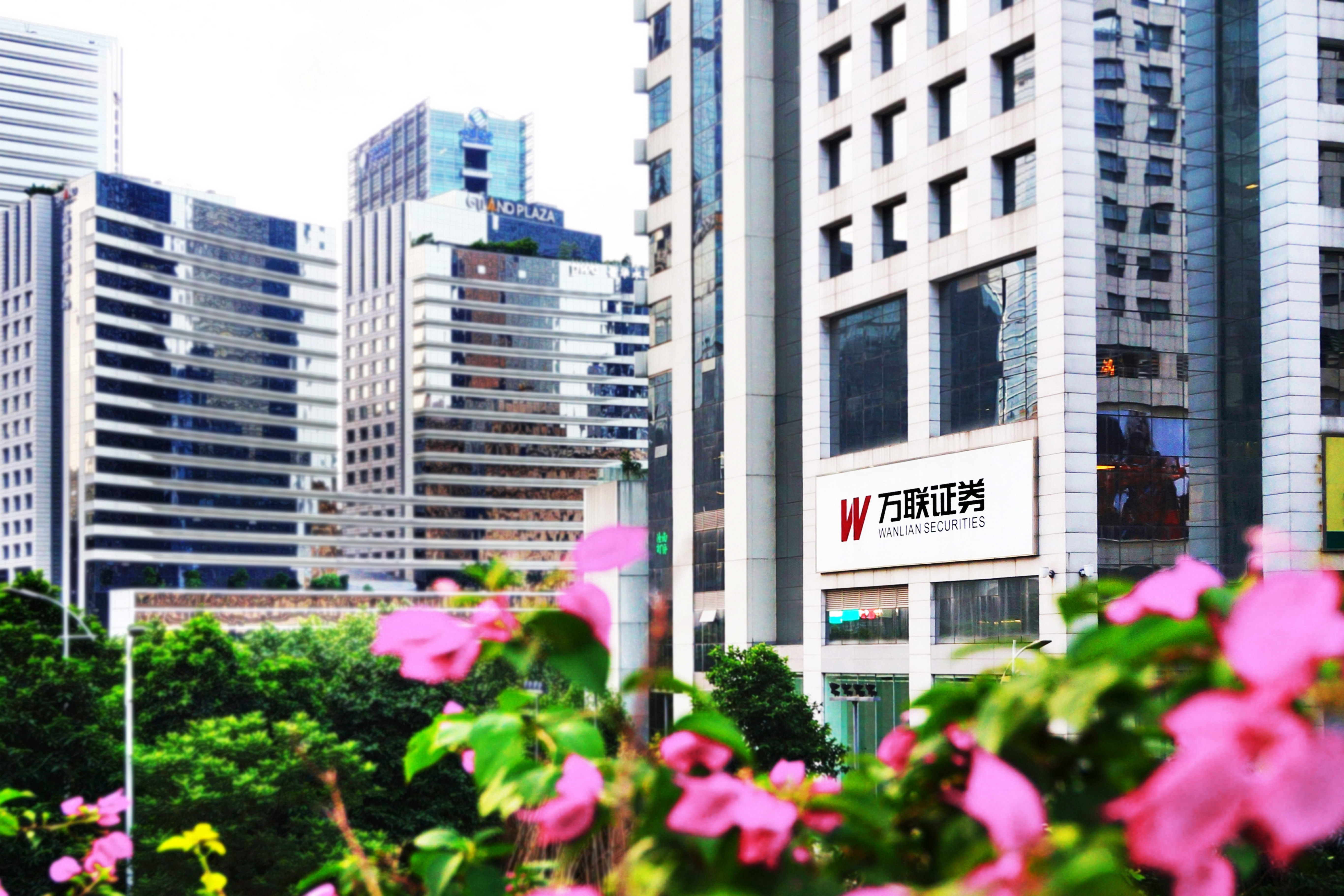 中信证券万通(中信证券万通三方交通银行)