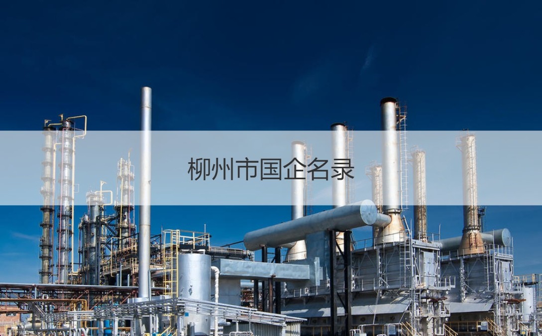 柳州证券(柳州证券炒股软件)