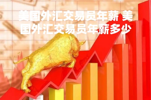 美国外汇监管(美国外汇监管机构)
