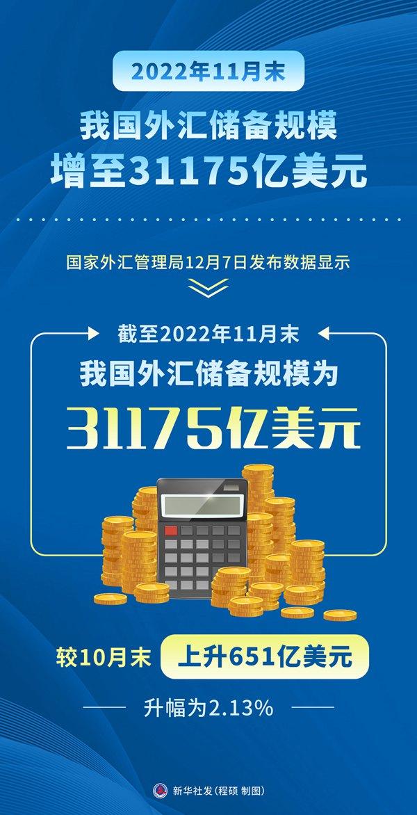 国家外汇网(国家外汇网上怎么申报)