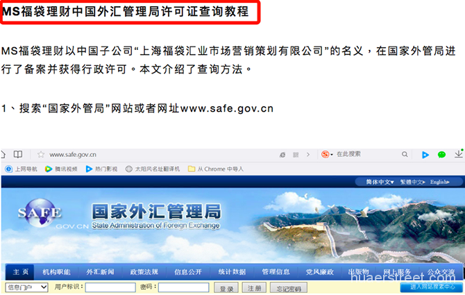 外汇管理公司(外汇资产管理公司)