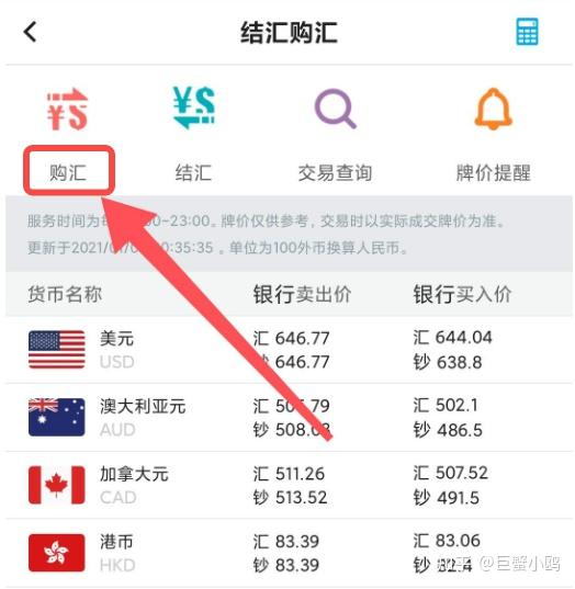 中国银行外汇查询(中国银行外汇查询今日美金汇率是多少里拉)