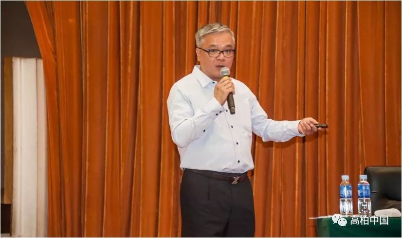 高柏外汇(gomarkets高汇中文官网)