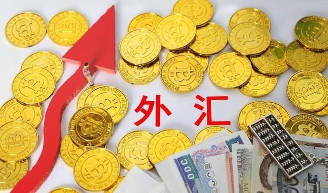 外汇存底(外汇存底二连跌)