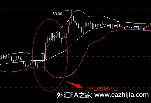 外汇的形成(外汇形成机制)