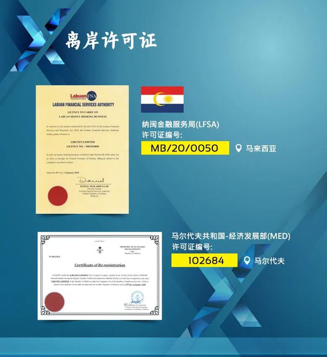 外汇许可证(外汇许可证样板图高清)