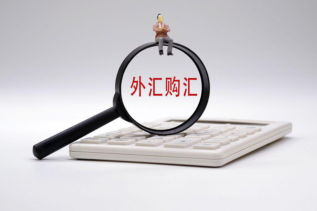 转外汇手续费(转外汇手续费多少钱)