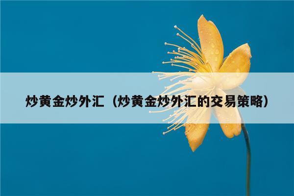 有炒外汇的吗(有没有炒外汇的大神)