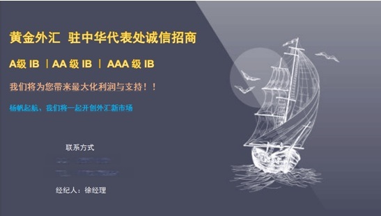 外汇代理网(外汇交易代理)