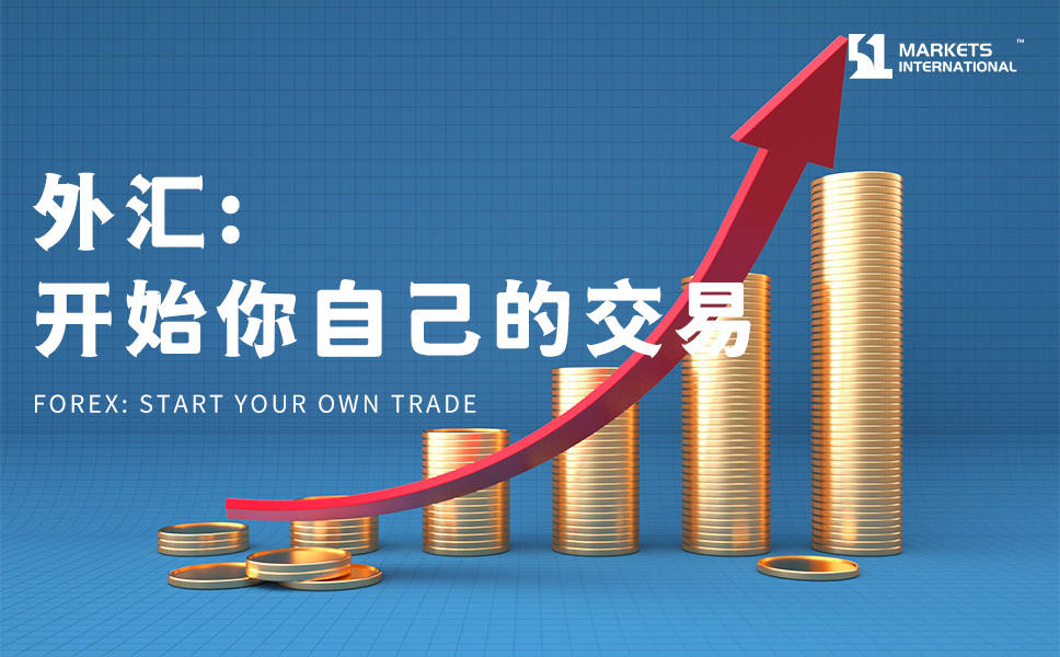 外汇失败(外汇失败者的感悟)
