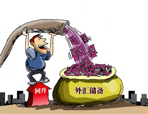 外汇储备现状(我国外汇储备的现状分析)