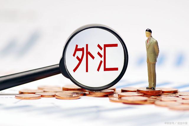 外汇会员(中国外汇市场会员的基本条件)