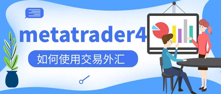 模拟外汇交易平台(模拟外汇交易app)