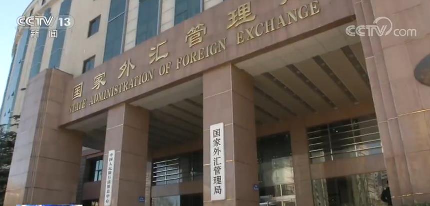 国家外汇网(国家外汇网上申报平台)
