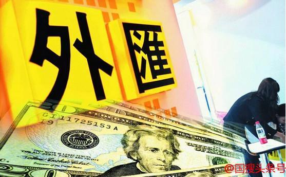 什么叫做外汇(什么叫做外汇储备国)