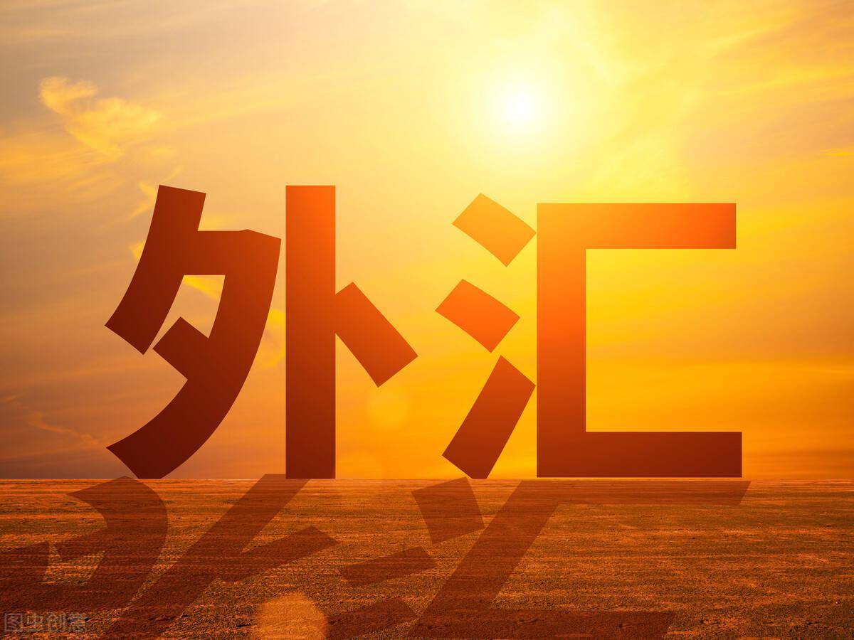 国家外汇网(国家外汇网上申报平台怎么操作)