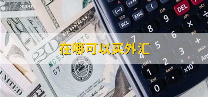 网银买外汇(网银外汇买卖)