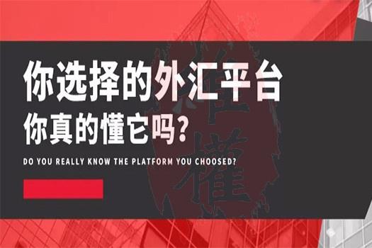 外汇给平台(外汇平台app)
