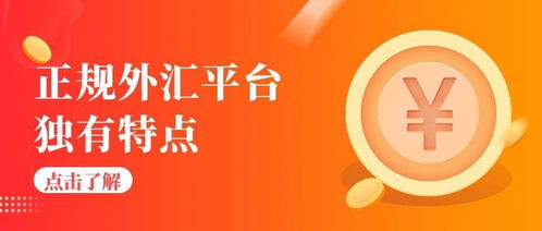 外汇给平台(外汇平台app)
