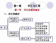 广义的外汇(广义的外汇包括以外币表示的)