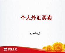 个人外汇规定(个人外汇规定最新)