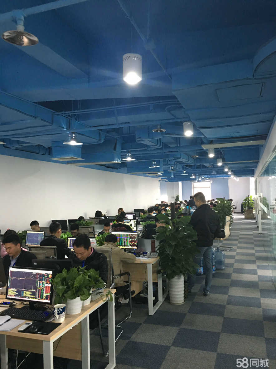 网络销售外汇(外汇网络销售犯法吗)