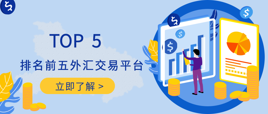 大的外汇平台(大的外汇平台叫什么)