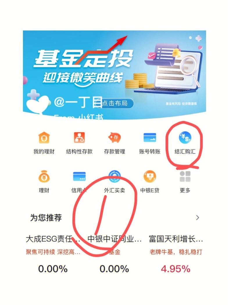 网银买外汇(银行app买外汇怎么填写用途)