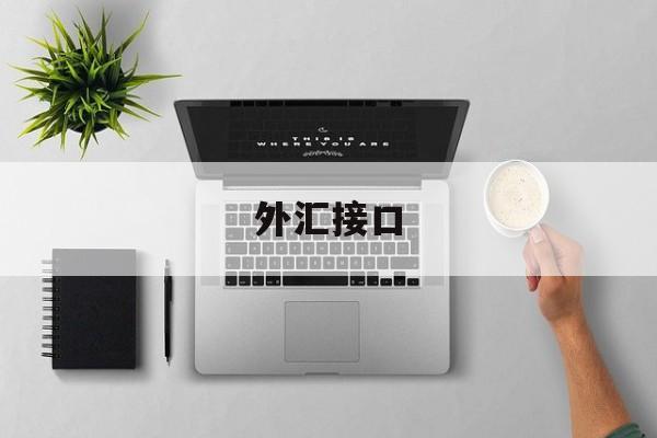 外汇接口(外汇网外部接口)