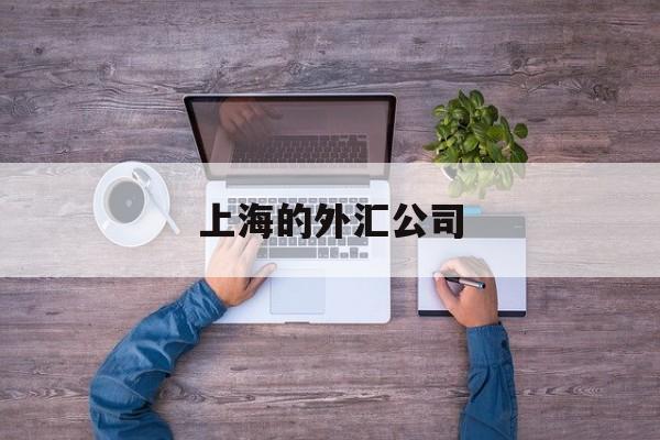 上海的外汇公司(上海外汇公司被公安一锅端)